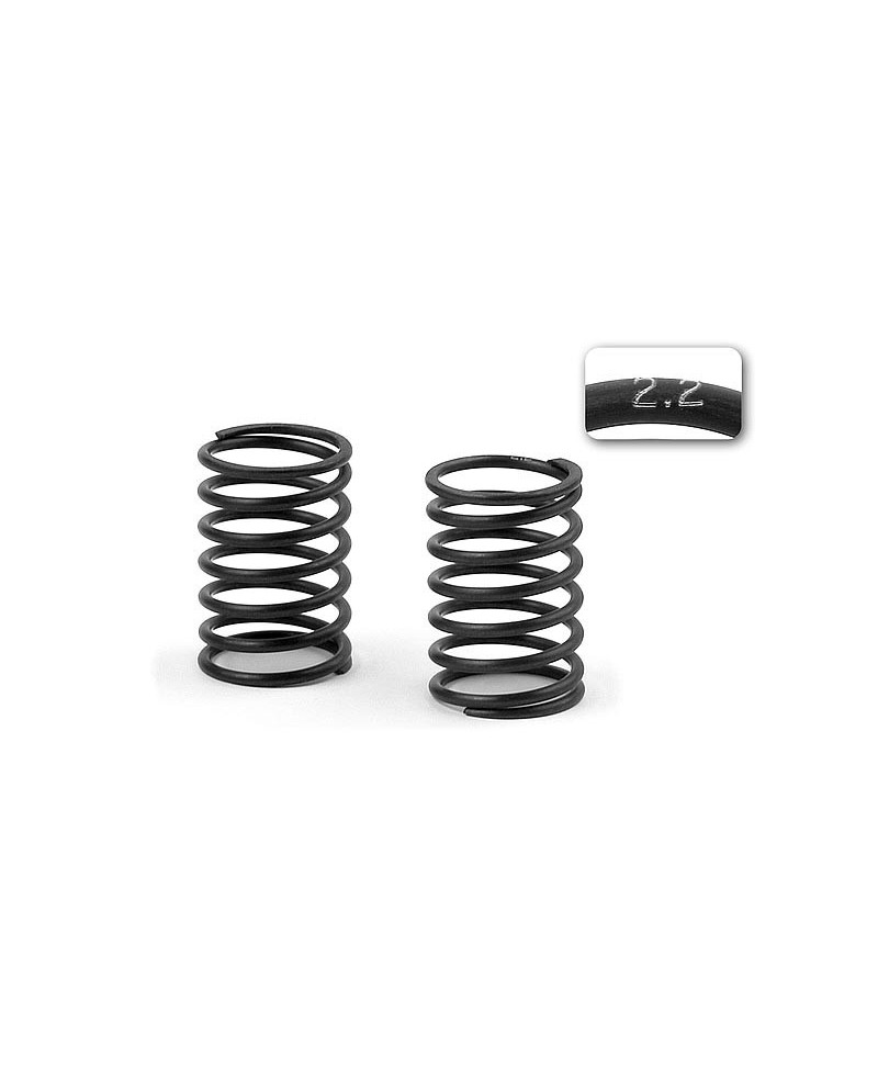 SET MUELLES XRAY C-2.2 (2)