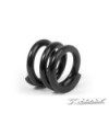 MUELLE EMBRAGUE 2x8.2x10 Grinded inside