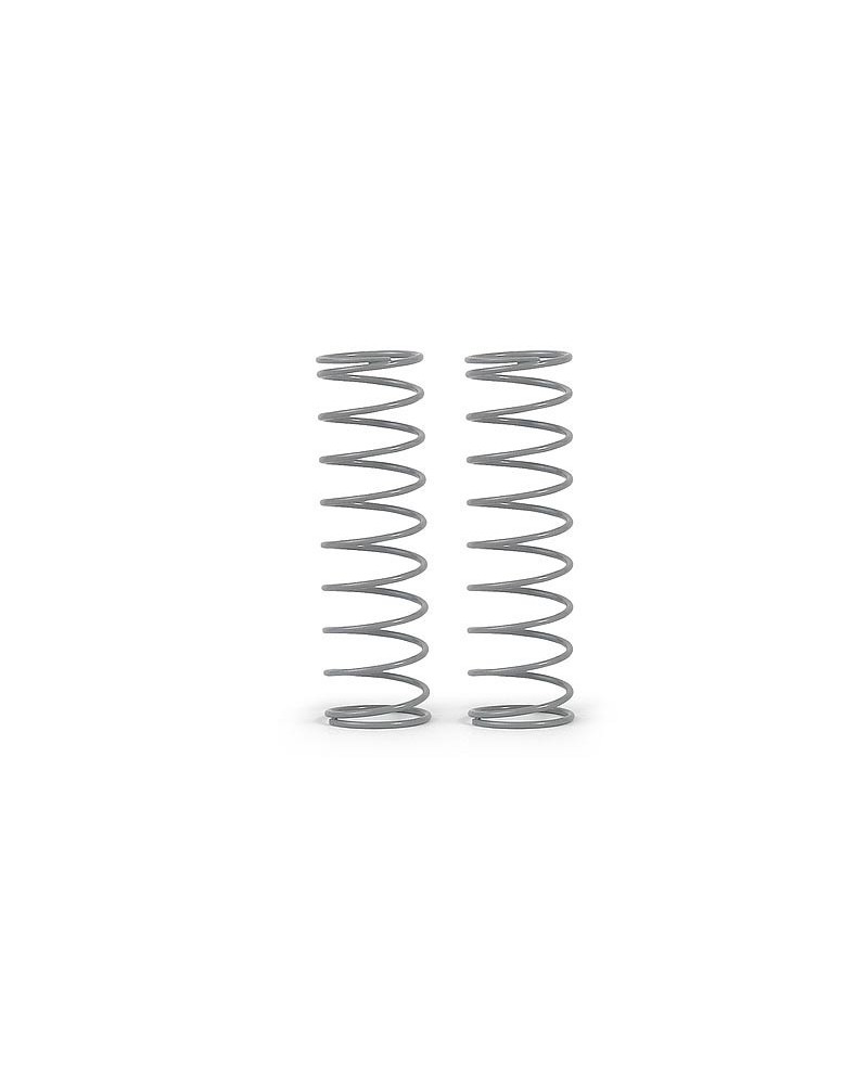 SET MUELLES TRASEROS C-0.50 - GRIS (2)