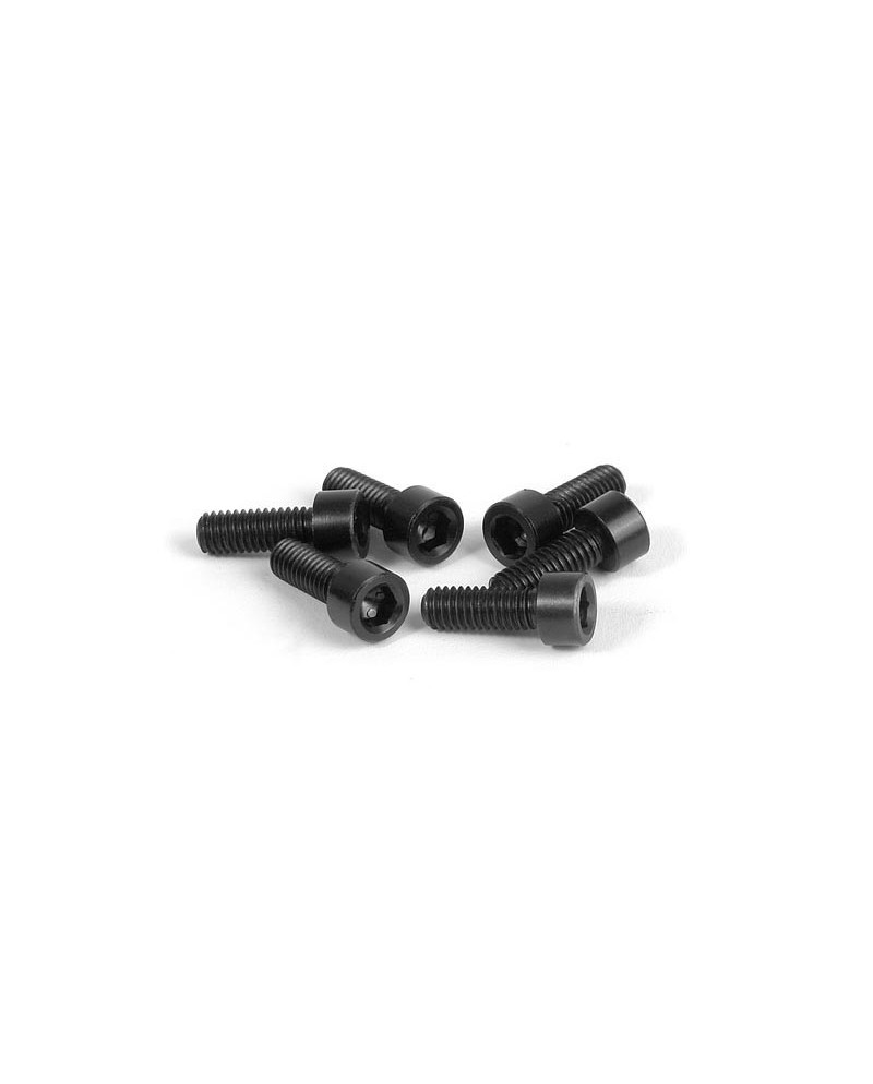 TORNILLO HEX. ALU. M3X8 RUEDAS TRAS. (6)