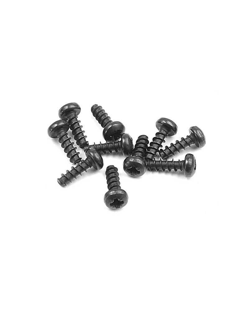 TORNILLO PHILLIPS 2.5x8  (10)