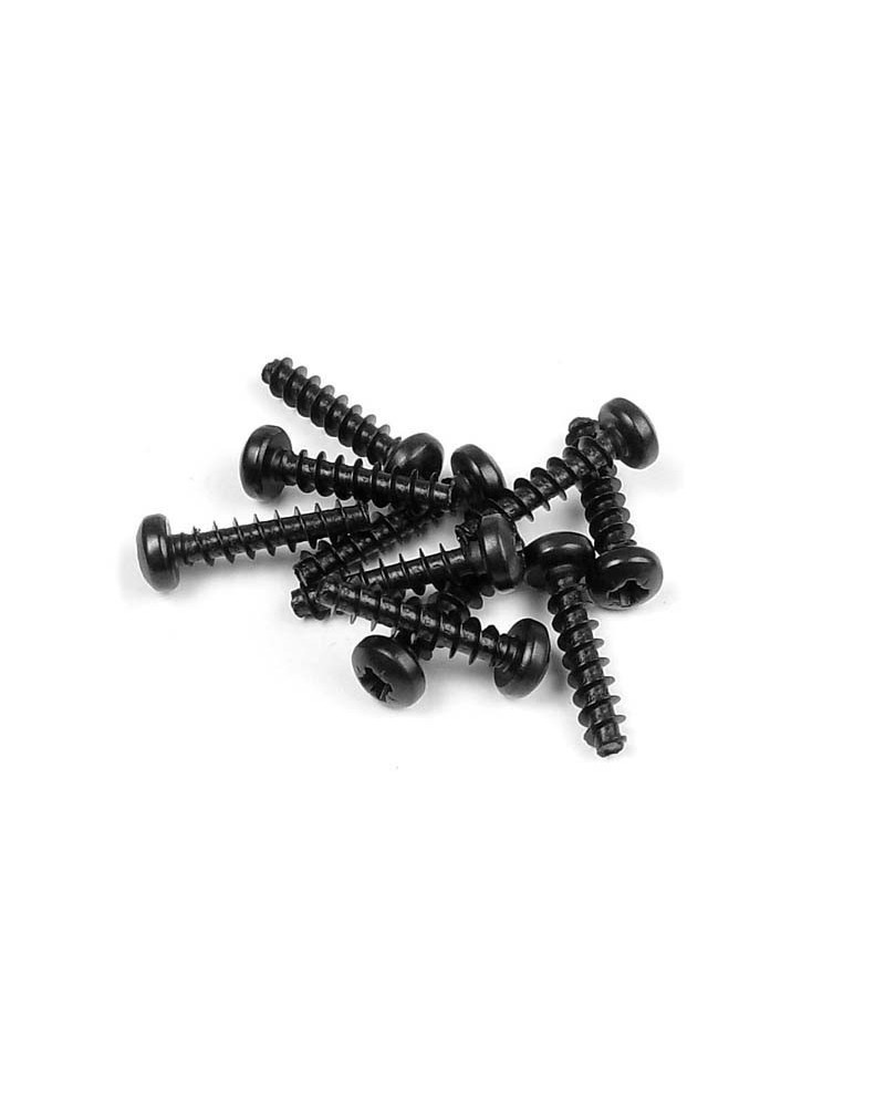 TORNILLO PHILLIPS 3.0x14  (10)