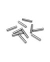 PIN 2x8.8  (10)