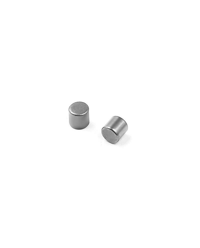 ROLLER PIN 4X4MM (2)