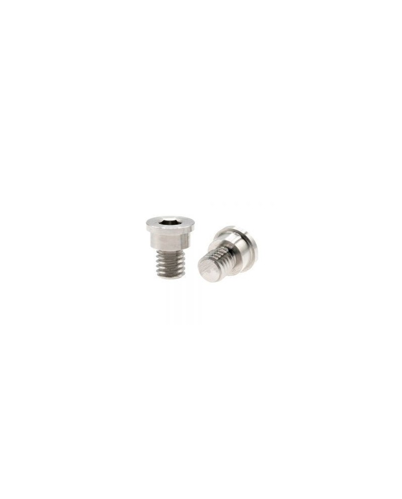 TORNILLO HEXAGONAL CUBIERTA SUPERIOR X4  M3x5.5 - TITANIO HUDY
