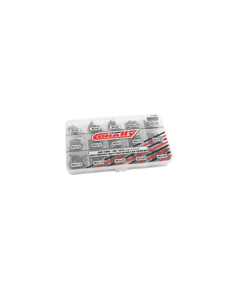 Conjunto de Tornillos M3