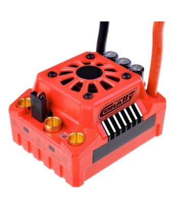 MOTOR TEAM CORALLY KURON 825 4 POLOS 2050 KV BRUSHLESS