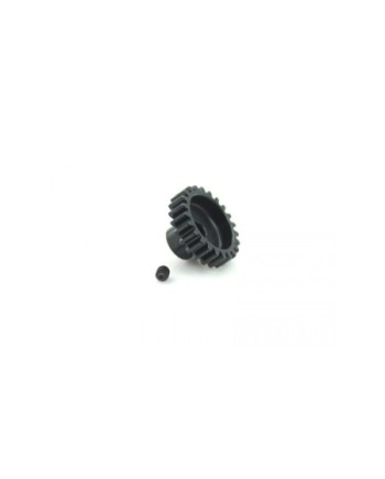 PIÃON MODULO 1 1/8 21T