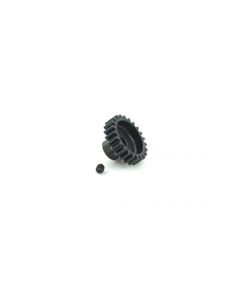 PIÃON MODULO 1 1/8 21T