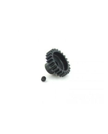 PIÃON MODULO 1 1/8 23T