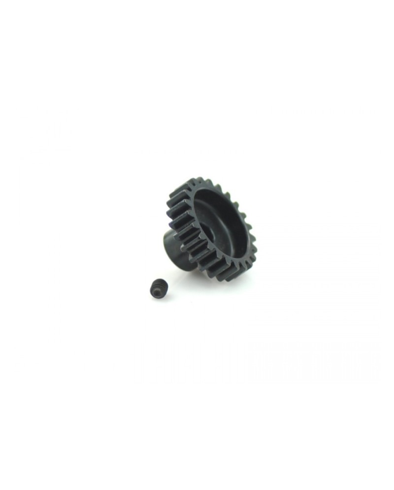 PIÃON MODULO 1 1/8 23T