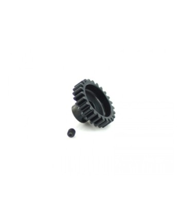 PIÃON MODULO 1 1/8 24T