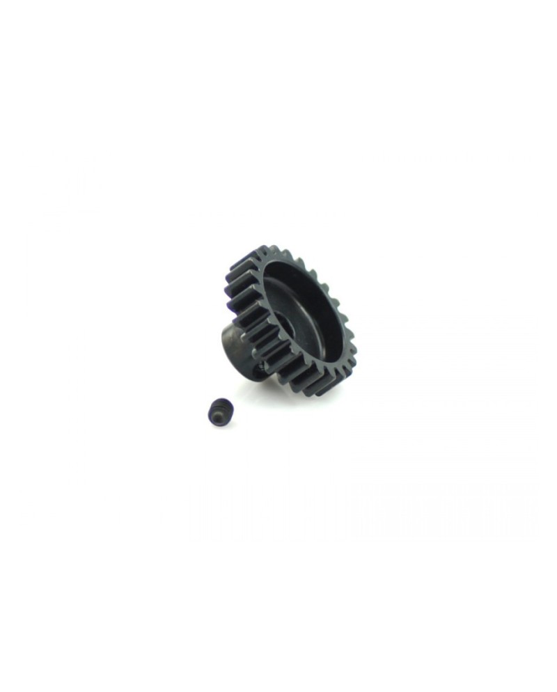PIÃON MODULO 1 1/8 24T