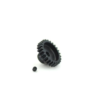 PIÃON MODULO 1 1/8 25T