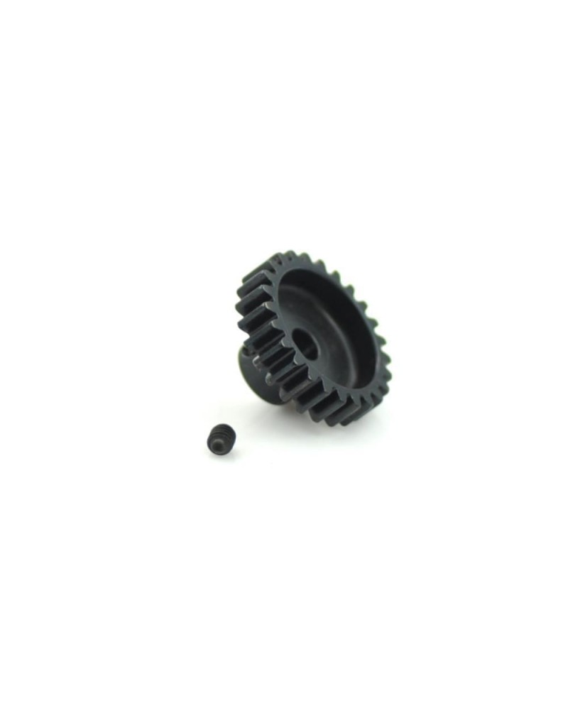 PIÃON MODULO 1 1/8 25T