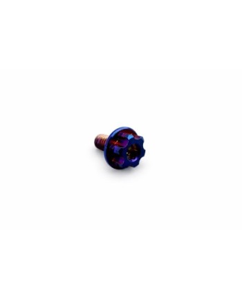 Tornillo embrague XTR en titanio 6AL/4V â 1 unidad