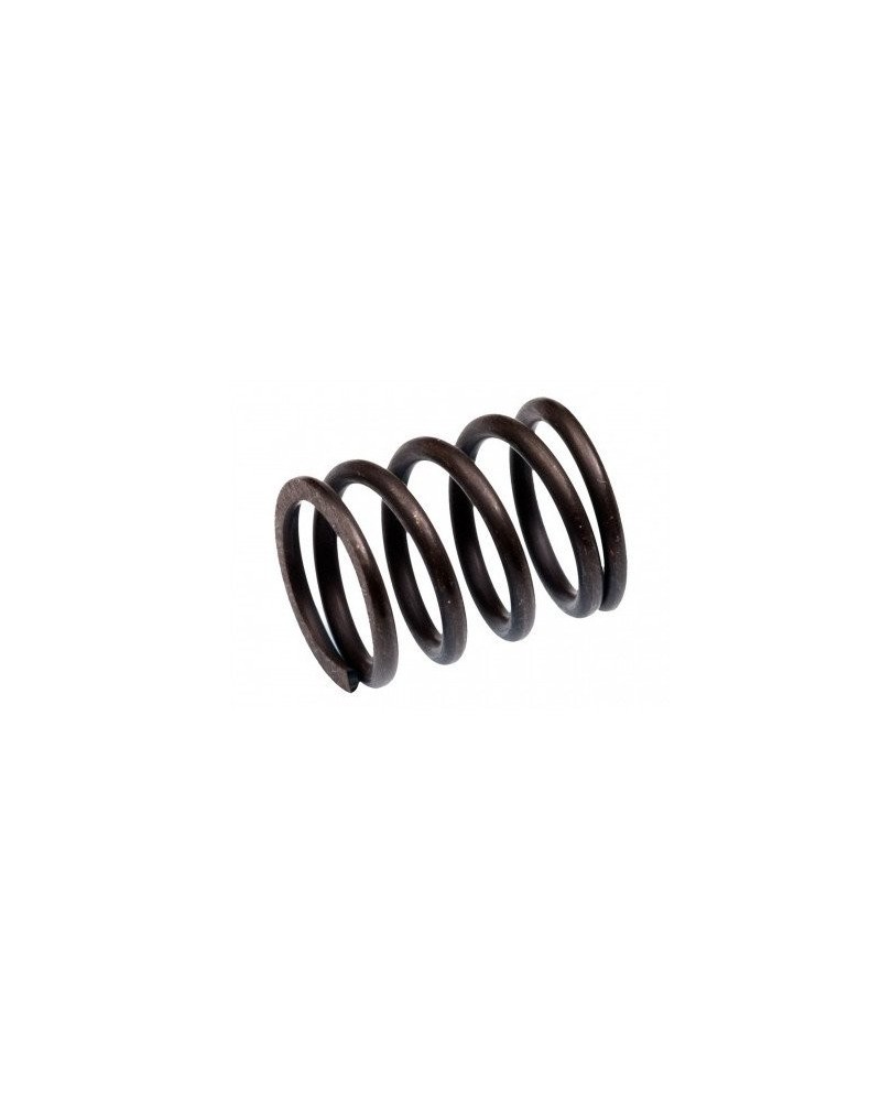 MUELLE SALVASERVOS MBX6 MUGEN