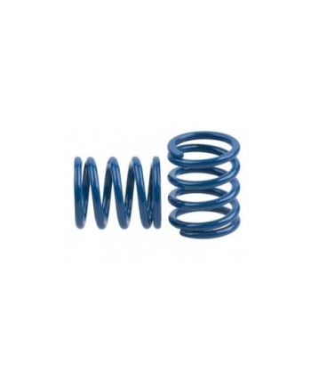 MUELLE DEL. 2.0mm BLUE OPC. (2u.)MRX-5/6/6R/6X MUGEN