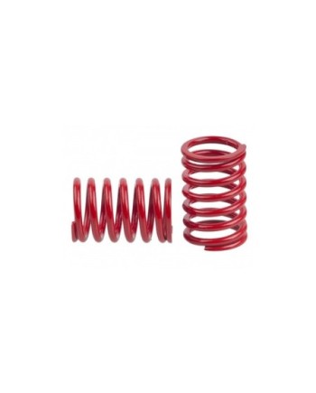 MUELLE TRAS. 2.0 mm RED OPC.(2u.)MRX-5 MUGEN