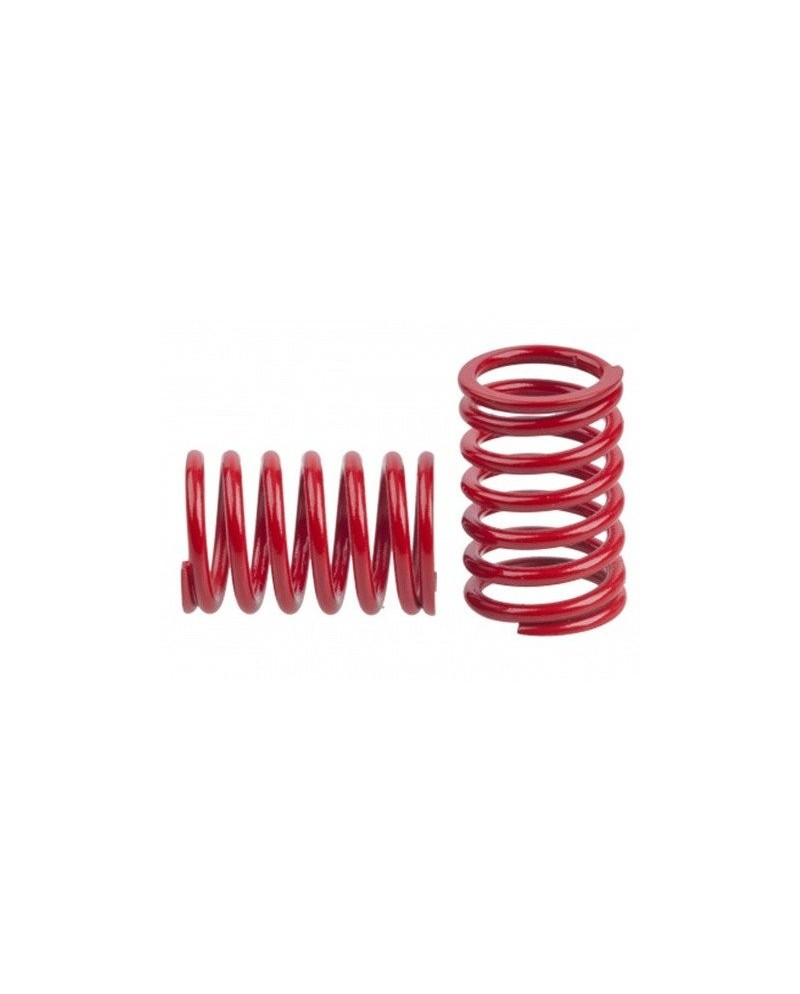 MUELLE TRAS. 2.0 mm RED OPC.(2u.)MRX-5 MUGEN
