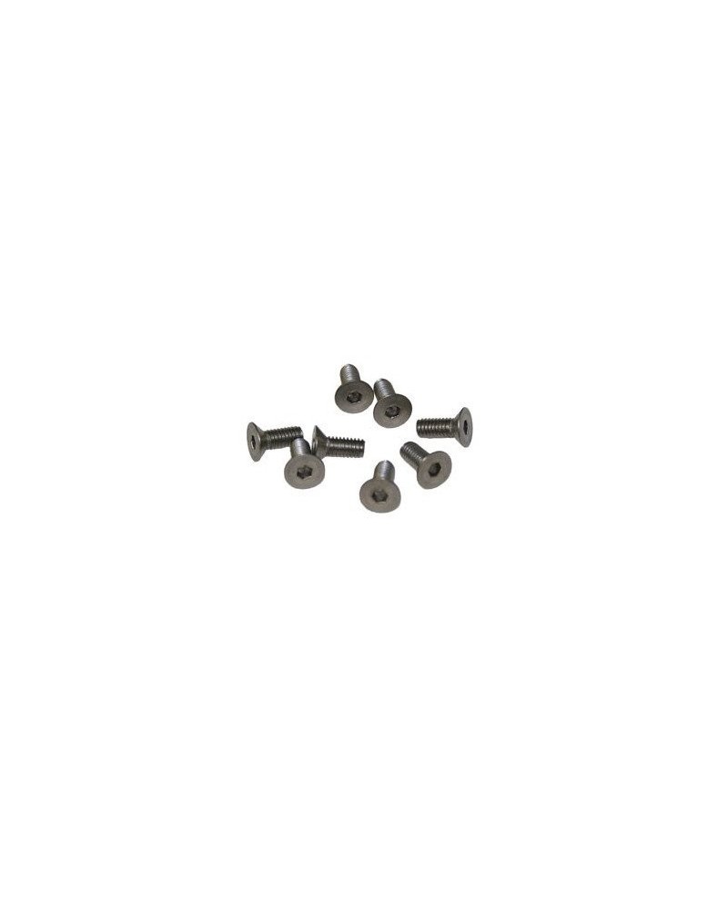 TORNILLO M4X10 TITANIO AVELLANADO (8u) MUGEN