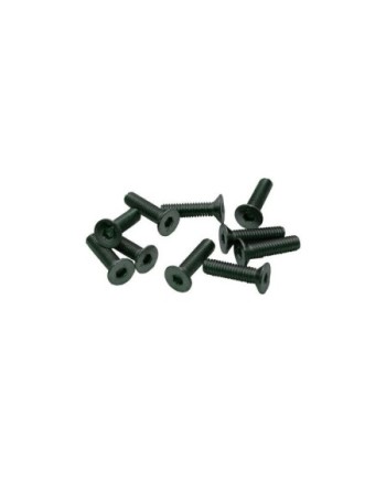 TORNILLOS M3x10mm AVELLANADO (10u.)