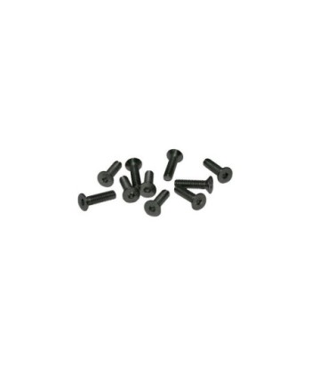 TORNILLOS M4x16mm AVELLANADO (10u.)