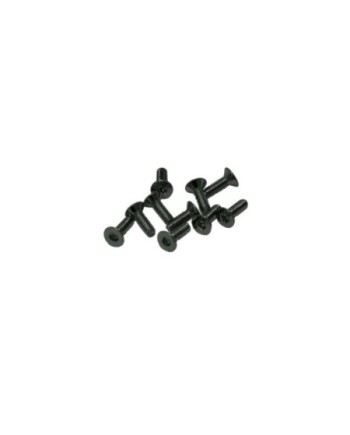TORNILLOS M2x6mm AVELLANADO (10u.)