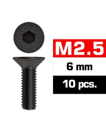 TORNILLOS M2,5x6mm AVELLANADO (10u.)