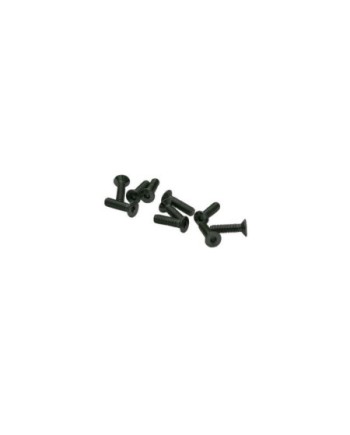 TORNILLOS M2,5x10mm AVELLANADO (10u.)