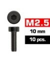 TORNILLOS M2,5x10mm CILINDRICO (10u.)