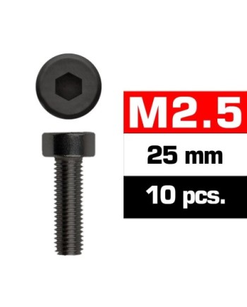 TORNILLOS M2,5x25mm CILINDRICO (10u.)