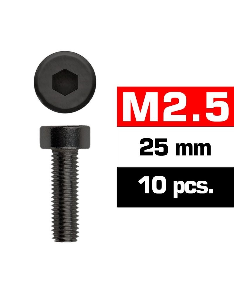 TORNILLOS M2,5x25mm CILINDRICO (10u.)