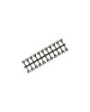 GRAPAS CASTER 1-1.2-1.4-2 MBX6/7/7R/8/8R MUGEN