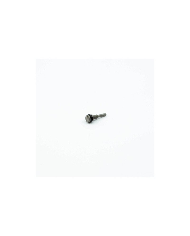 TORNILLO RALENTI M3 (22C)