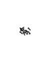 TORNILLO AVELLANADO FH/ST M3X10MM (10u.) SWORKZ