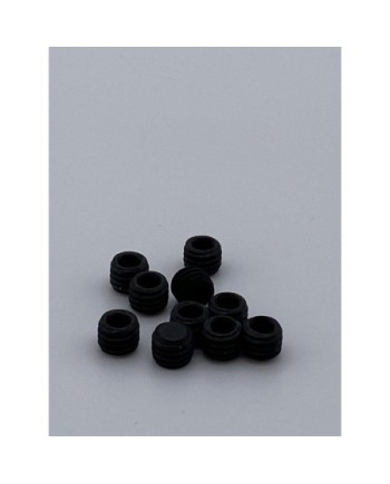 TORNILLO PRISIONERO M5X4MM (10u.) SWORKZ