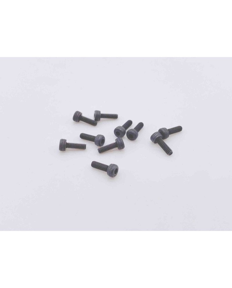 TORNILLO ALLEN M2X6MM (10u.) SWORKZ