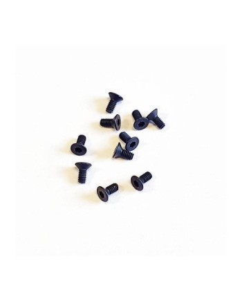 TORNILLO AVELLANADO FH/ST M2X4.6MM (10u.) SWORKZ