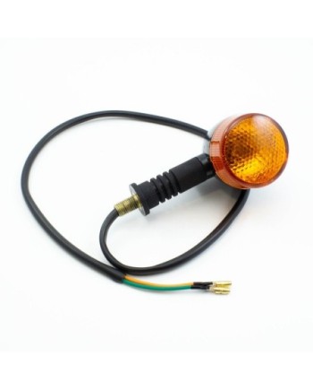INTERMITENTES DELANTEROS CP2 (1u.)