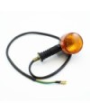 INTERMITENTES DELANTEROS CP2 (1u.)