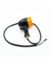 INTERMITENTES DELANTEROS CP2 (1u.)