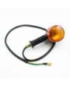 INTERMITENTES DELANTEROS CP2 (1u.)
