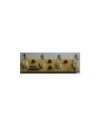 SET LUCES 12429