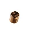 PESO 10 GR MRX6X (1u.)