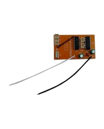 RECEPTOR 104311