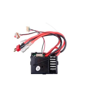 RECEPTOR 12404