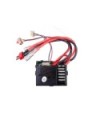 RECEPTOR 12404