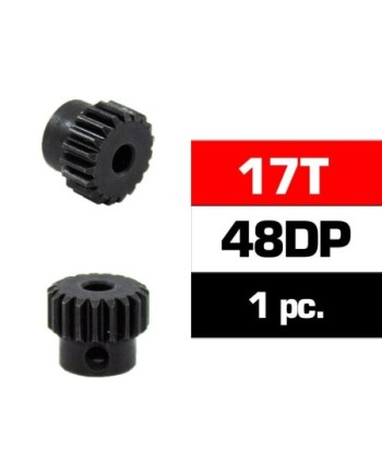 PIÑON 48DP - 17T - ACERO HSS - DIAMETRO 3,17mm