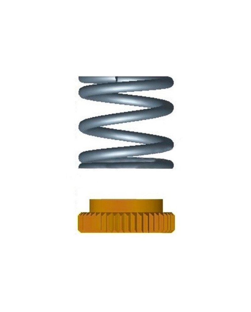 MUELLE + TUERCA SALVASERVOS 104001